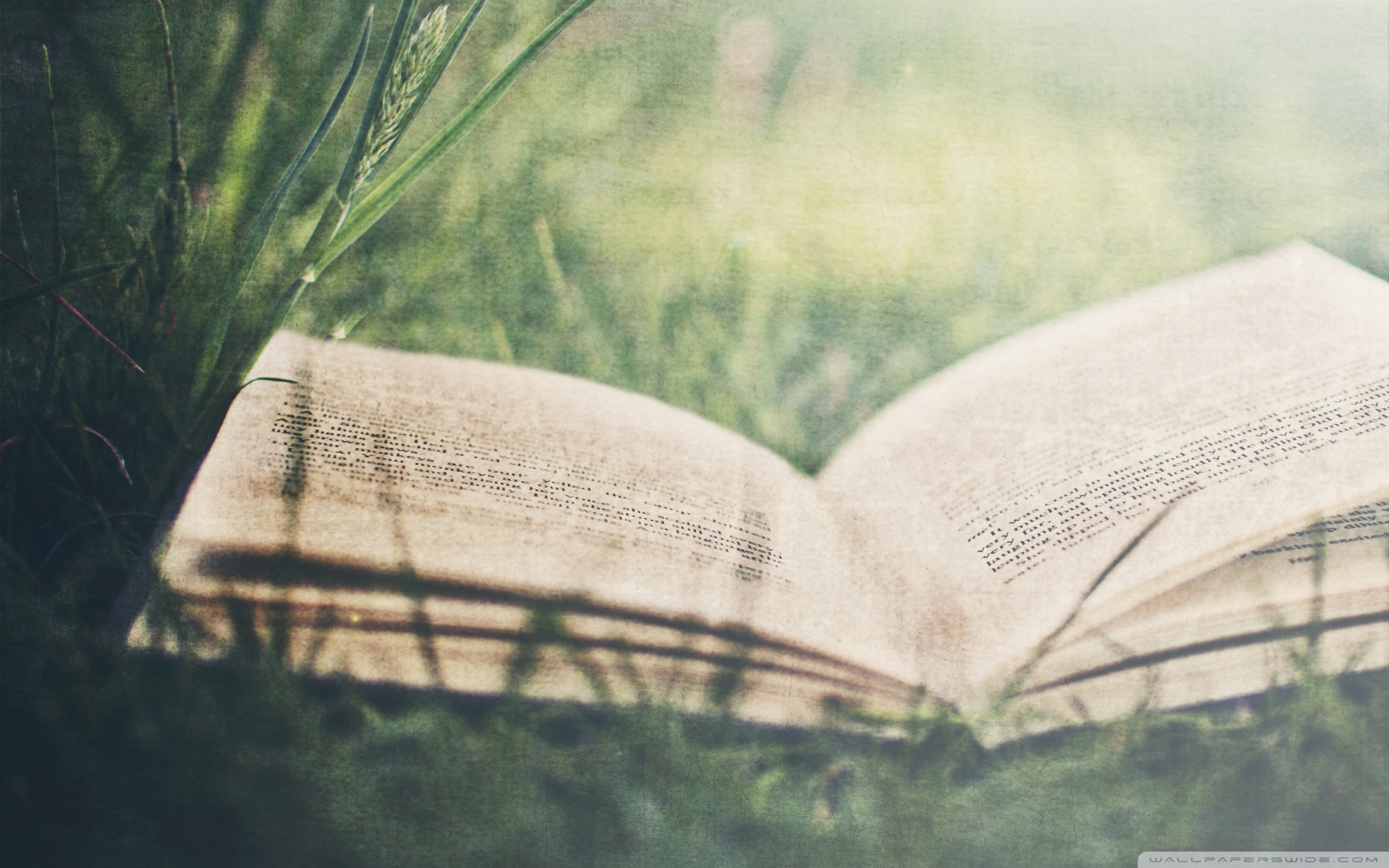 BUILDING SPIRITUAL LEADERS